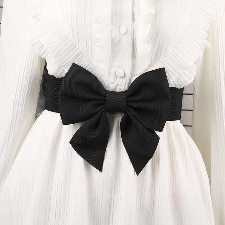 2024 Fashion Lady Wide Waistbands Elastic Stretchy Belt Double Metal Buckle Waistband Bow Corset Belt for Women - 图片 3
