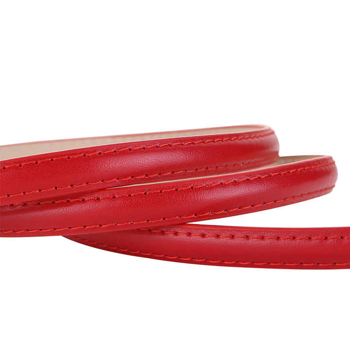 New Product Skinny Long Faux Leather Lady Belt Thin Leather Waist Belts With Golden Buckle for Women - 图片 6